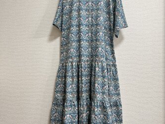 ドルマンワンピース  ストロベリー・シーフの画像