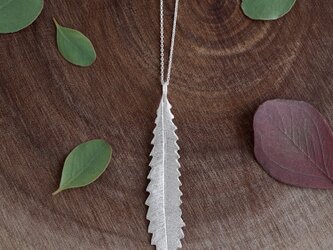 Banksia leaf necklace [P096SV]の画像