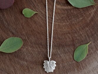 Barnet leaf necklace [P094SV]の画像