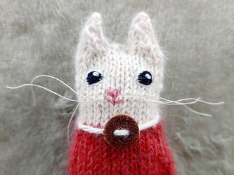 棒編み針のあみぐるみ　(スイカ柄・白猫）の画像