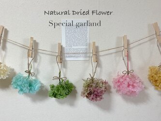 送料無料！ボンボン紫陽花の花輪　六連ガーランド♬ カラーミックスの自然な風合い！お子様と一緒にお飾り！の画像