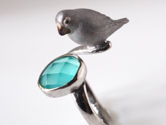 手乗り文鳥ペルビアンオパールリングの画像