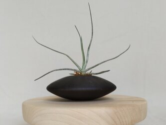 エアープランツのための花器 〜柿✕鉄媒染〜の画像