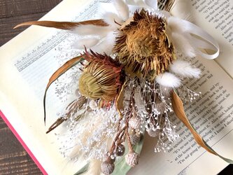 「ドライアンドラ クエルシフォリアの小さなホワイトスワッグ」ドライフラワースワッグ　花束の画像