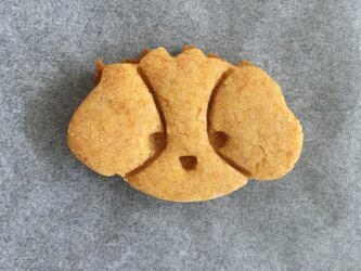 シーズー　クッキー　型の画像
