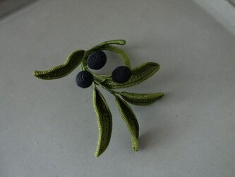 Olive ⅱ/ circleの画像