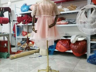 可愛い薄ピンク カラードレス 枝花刺繍 セクシー ミニドレス 演奏会/音楽会の画像