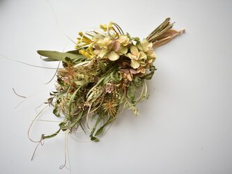柏葉紫陽花とカヤツリソウのスワッグの画像