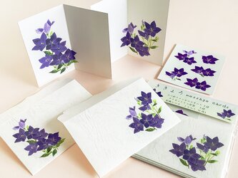 キキョウの二つ折りメッセージカード＆ダイカットミニ封筒　2種の画像