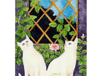 水彩画・原画「窓辺の白猫」の画像