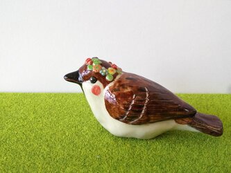 花冠スズメの画像