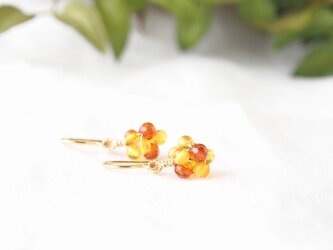 Amber Particlesの画像