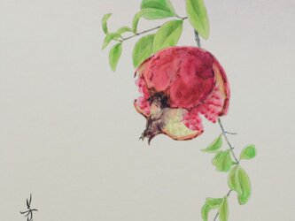 日本画色紙 「ザクロ」の画像