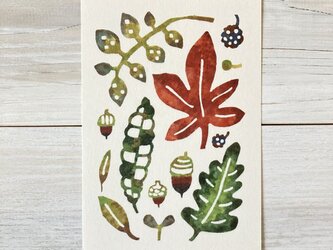 ポストカード2枚セット・型染め「落葉と木の実」の画像