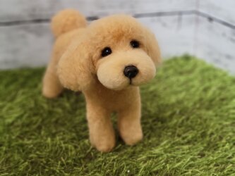 羊毛フェルト 犬 ワンコ  プードル ペット うちの子 虹の橋  トイプー 犬 人形 ぬいぐるみ オーダーの画像