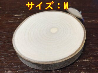 留め易い丸太切り株の止まり木（白樺）（TOY-08-022)TMの画像