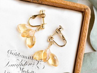 【14kgfピアス】シトリン ひまわりの花びら・3枚