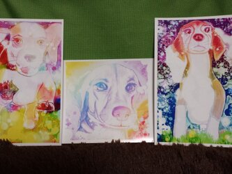 絵本の子犬　2014･01　POST CARDの画像