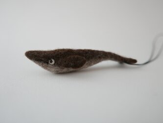 シロナガスクジラの画像