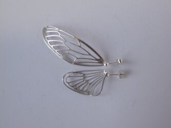 dlicate air P(cicada)の画像
