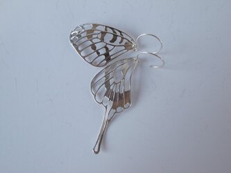delicate air P(swallowtail)の画像