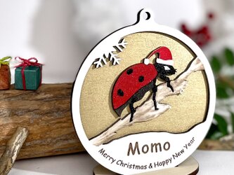 〈名入れ〉虫たちのクリスマスオーナメント☆てんとう虫　置台付きの画像