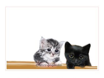 「なよびか」 猫 ほっこりほっこり癒しのイラストポストカード2枚組No.026の画像