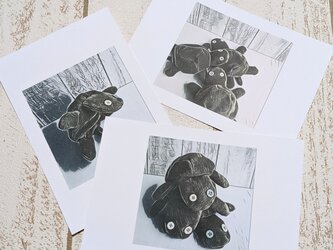 かめっちのポストカード  3枚セットの画像