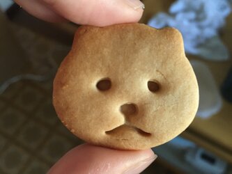 サモエド　クッキー　型の画像