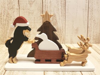 クリスマス☆黒柴が遊ぶクリスマス飾り☆Christmas☆Xmasの画像