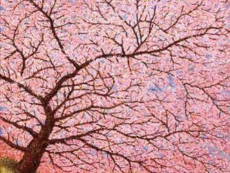 春の川辺の画像