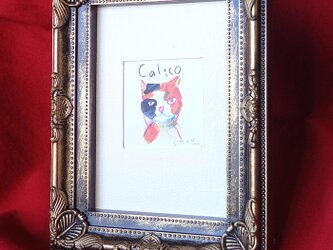 Calicoの画像