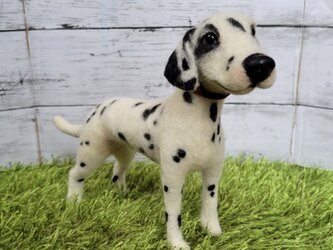 羊毛フェルト  ダルメシアン   愛犬  うちの子  オーダー 犬 ぬいぐるみ 人形 虹の橋 ペットロスの画像