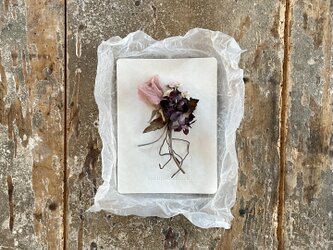 － Dried flower －の画像