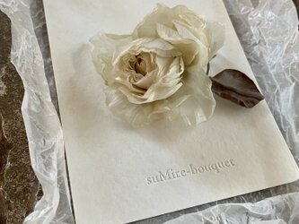 － 白薔薇 －の画像