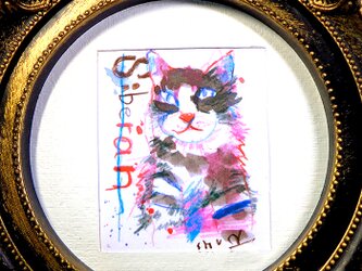 Siberianの画像