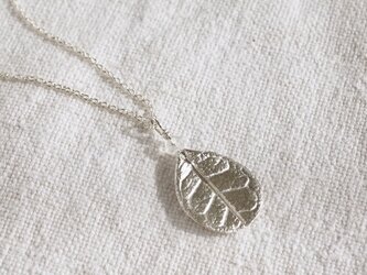 Feijoa small leaf stone necklace [P076SV(ST)]の画像