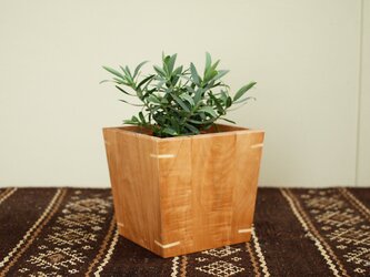 木製 鉢カバー 栃材1　3号鉢用　植木鉢カバーの画像