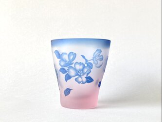 花水木の画像