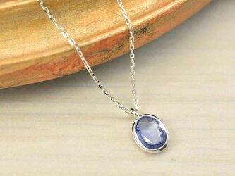 Blue Sapphire_0.65ct/Pt900 Necklace【Petalo/ペタロ】の画像