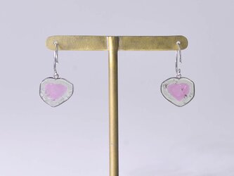 Watermelon Tourmaline/pt900 Pierce 【Murion/ムリオン】の画像