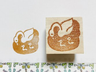 白鳥の親子の画像