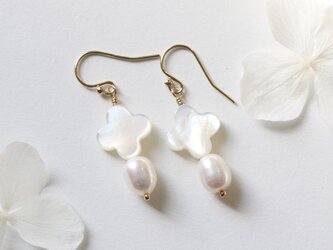 14Kgf ホワイトシェル×淡水真珠 ピアス/イヤリング --The bloom--の画像