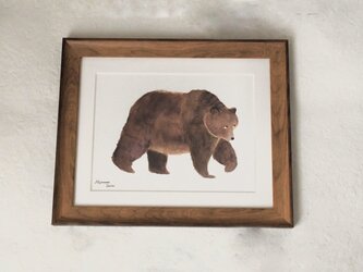 弱気なクマのポスター(A4サイズ)【額あり①】の画像
