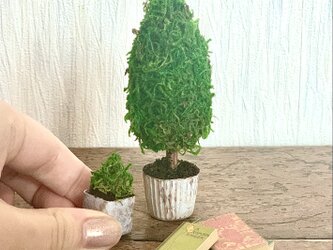 アンティークな観葉植物と本のセット　ミニチュアの画像