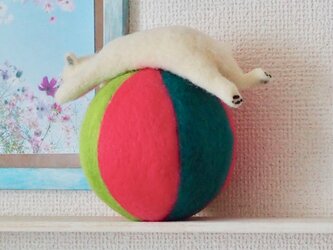 玉乗りスティーブの画像