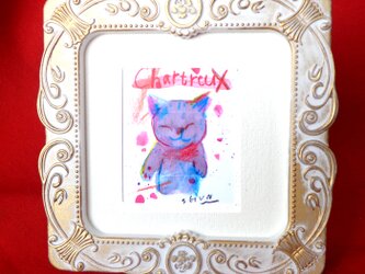 Chartreux-2の画像