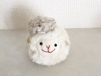ベレーラムキン　　アルパカの画像