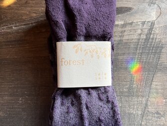 forest silk socks no.6 solar eclipseの画像