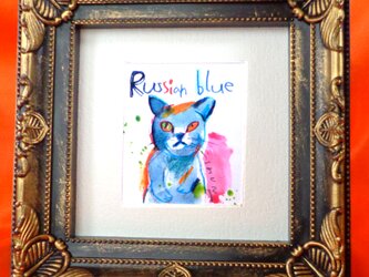 Russian blueの画像
